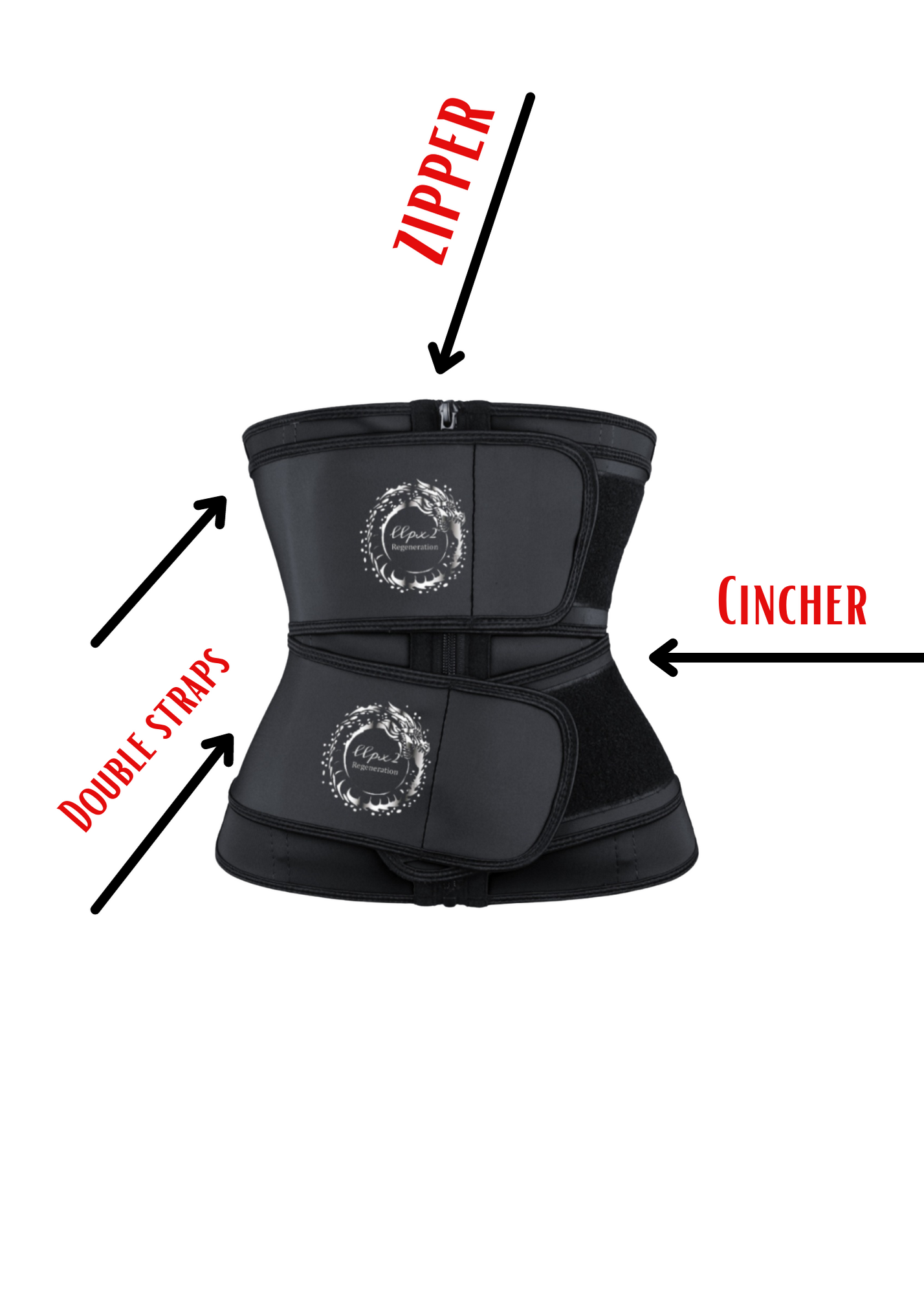 Double strap Double snatch Waist trainer